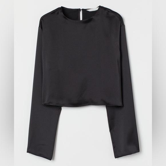 Satin Crop Blouse (Rarely Used) - Picture 1 of 2